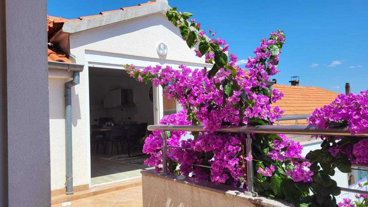 Stoja Apartment زادار المظهر الخارجي الصورة